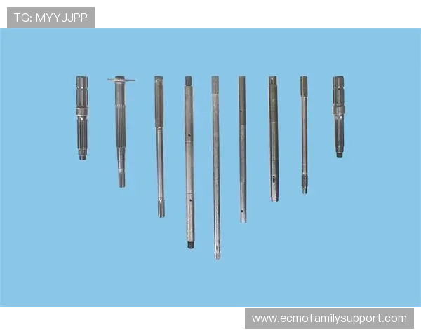 K8凯发旗舰厅下载官网下载安装步骤详解，帮助新手快速上手体验精彩游戏